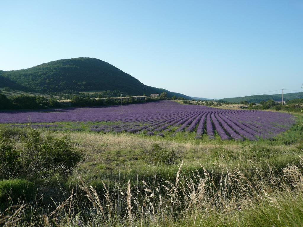 La Grange De La Lavande Lardiers Eksteriør billede